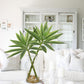 Dracaena Artificial Houseplant