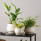 Ceramic Planter Set