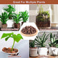 Organic Expanded Clay Pebbles for Plants | Leca