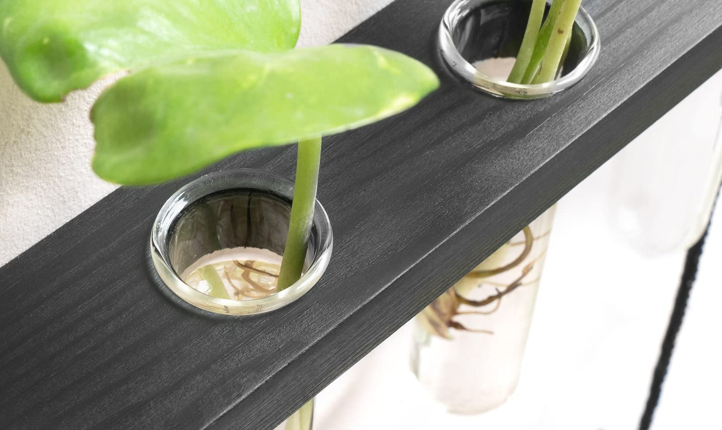 Wall Hanging Plant Propagation Station