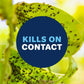 BioAdvanced Houseplant Insect & Mite Control