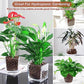 Organic Expanded Clay Pebbles for Plants | Leca