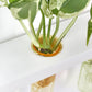 Wall Hanging Plant Propagation Station