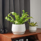 Ceramic Planter Set