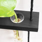 Wall Hanging Plant Propagation Station