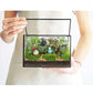 Glass Terrarium with Lid