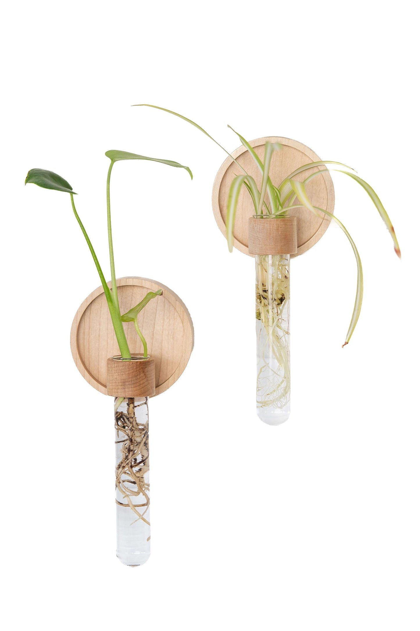 Maple Wood Propagation Wall Vases