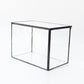 Glass Terrarium with Lid