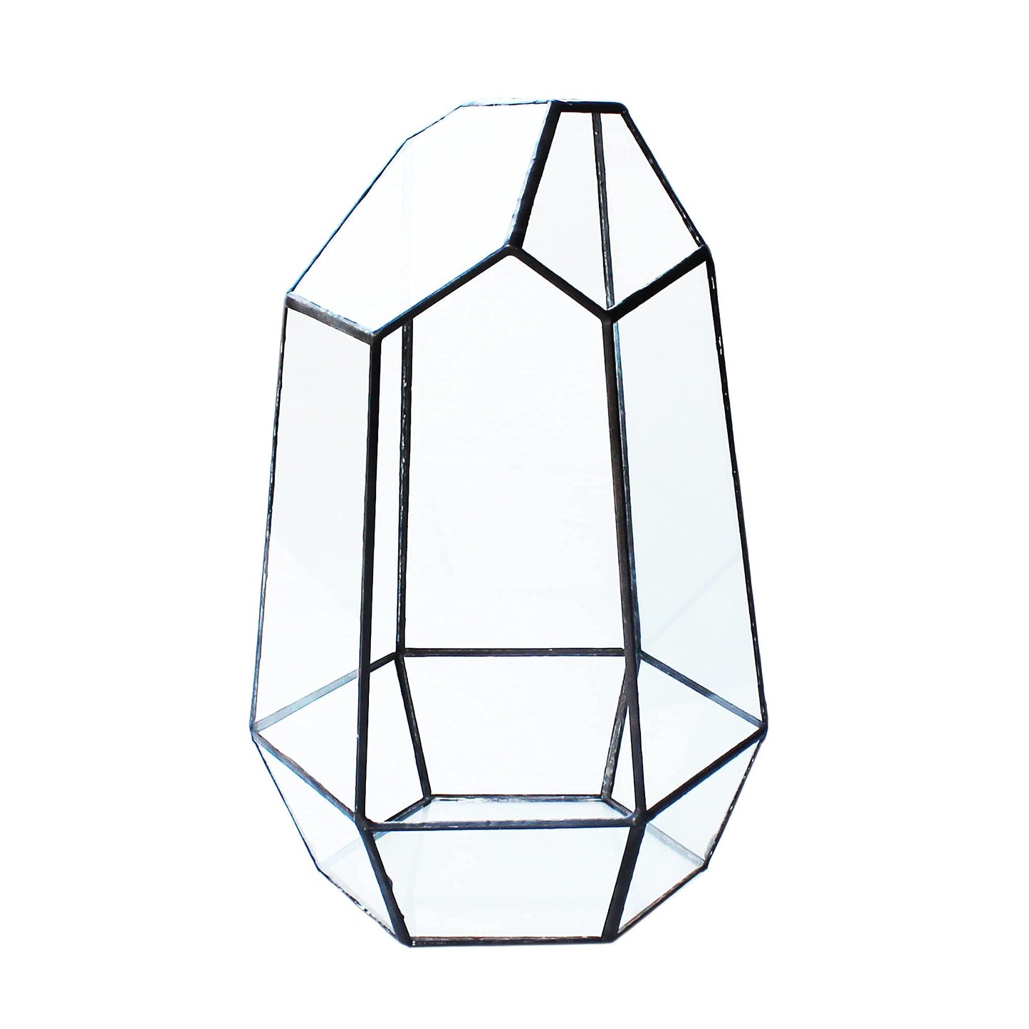 Glass Terrarium with Lid