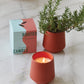 Modern Sprout Rooted Candle - 2 in 1 Scented Soy Candle with Seeds