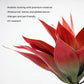 Large Artificial Agave Plant