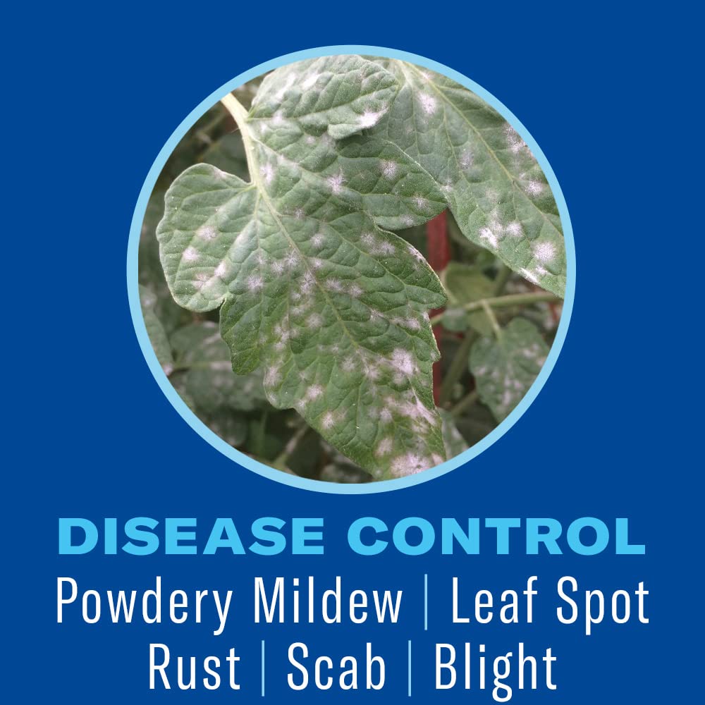 BioAdvanced Houseplant Insect & Mite Control