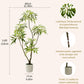 Large Fortunei Artificial Tree & Planter