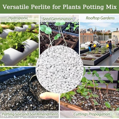 Organic Perlite | Horticultural Natural Chunky