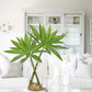 Dracaena Artificial Houseplant