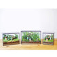 Glass Terrarium with Lid