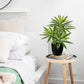Dracaena Artificial Houseplant