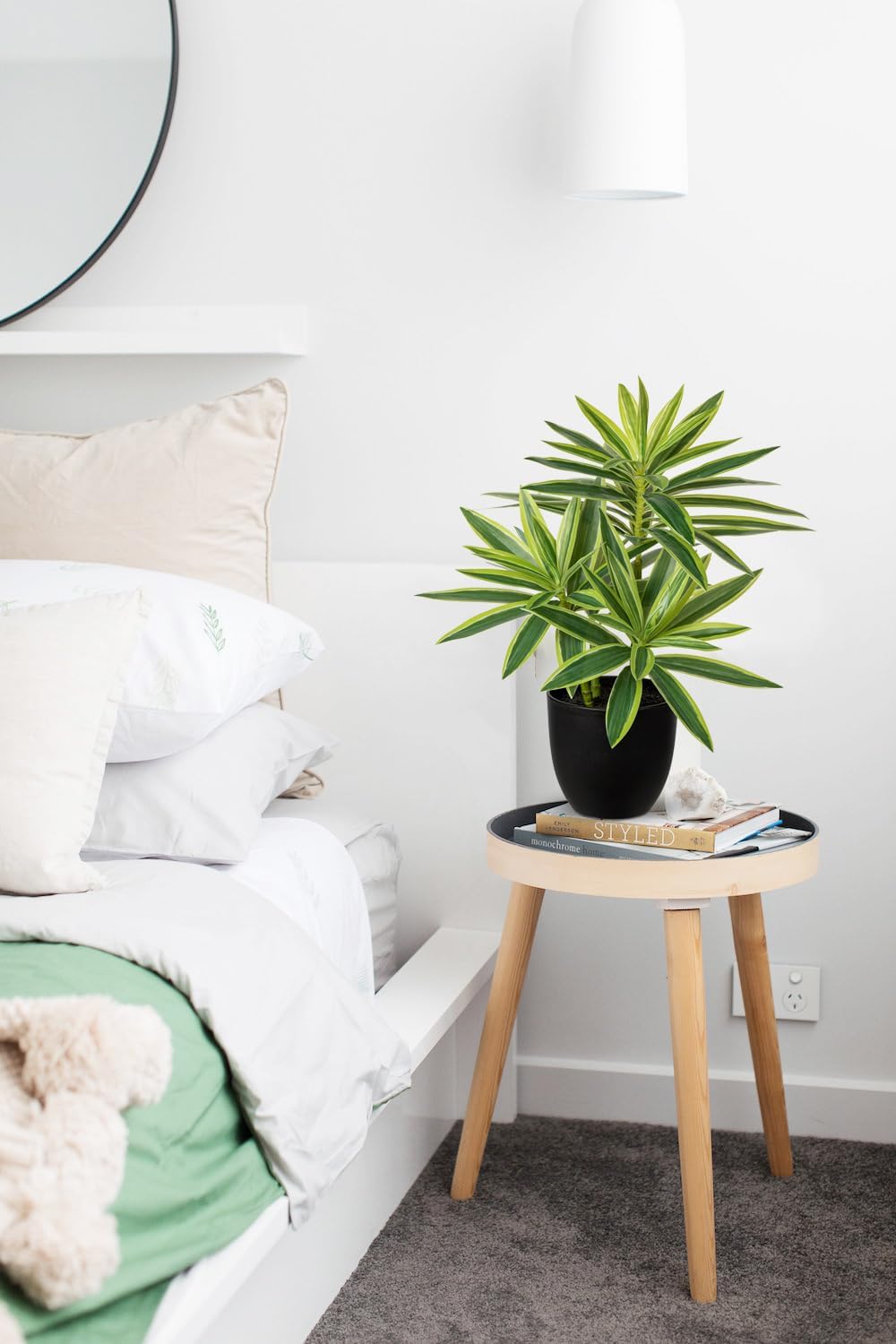 Dracaena Artificial Houseplant