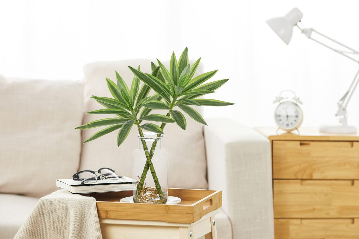 Dracaena Artificial Houseplant