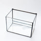 Glass Terrarium with Lid