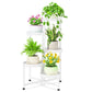 5 Tier Folding Plant Stand