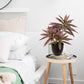 Dracaena Artificial Houseplant