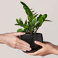 Ceramic Planter Set