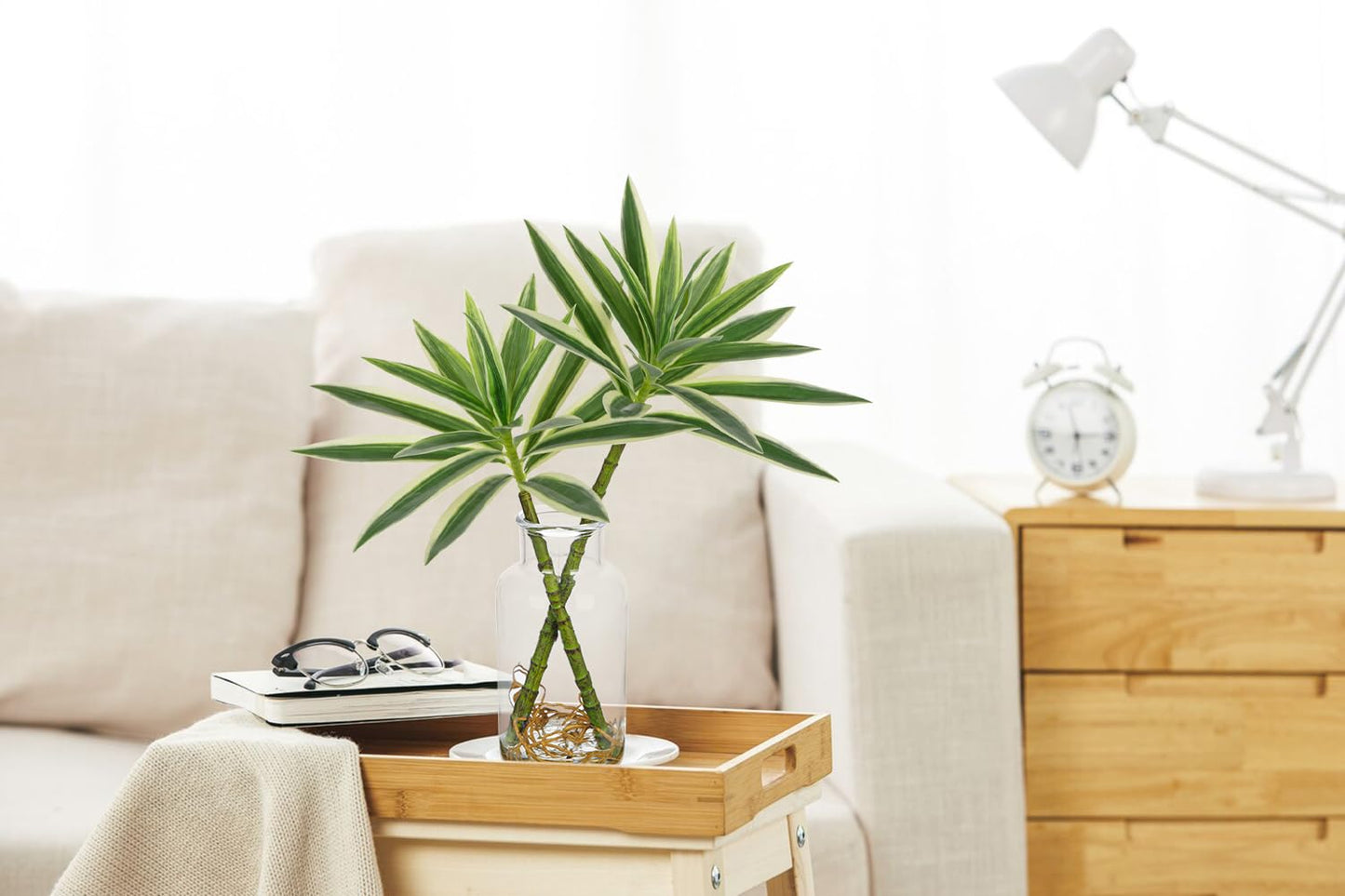 Dracaena Artificial Houseplant
