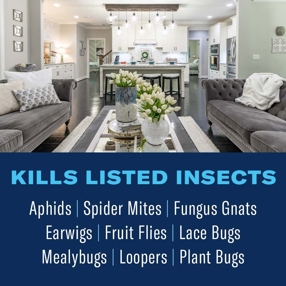 BioAdvanced Houseplant Insect & Mite Control