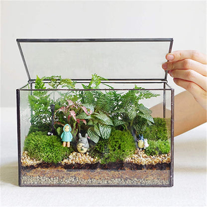 Glass Terrarium with Lid