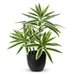 Dracaena Artificial Houseplant