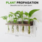 Plant Propagation Station - SET OF 3