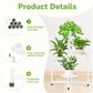 5 Tier Folding Plant Stand