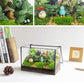 Glass Terrarium with Lid