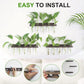 Plant Propagation Station - SET OF 3