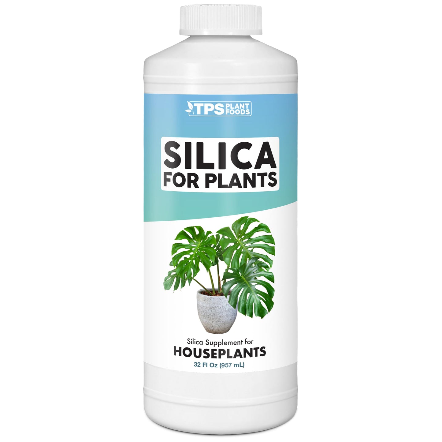 Silica for Houseplants for Strong Stems & Healthy Leaves