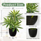 Dracaena Artificial Houseplant