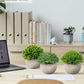 Set of 3 Small Artificial Plants