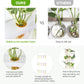 Wall Hanging Plant Propagation Station