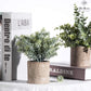 Mini Potted Artificial Plants - 3 pack