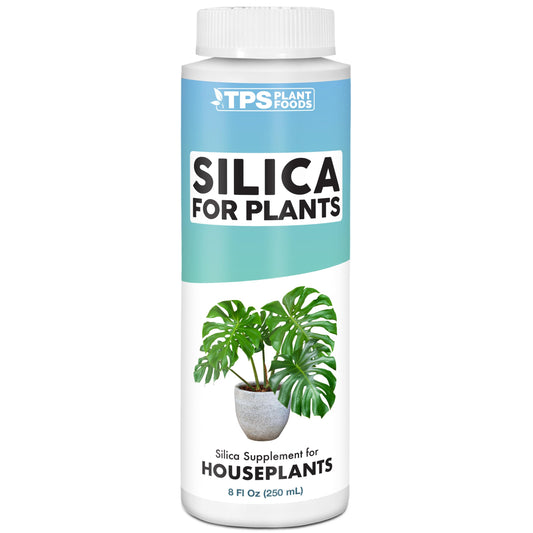 Silica for Houseplants for Strong Stems & Healthy Leaves