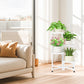 5 Tier Folding Plant Stand