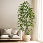 Artificial Ficus Tree & Planter