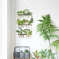Wall Hanging Plant Propagation Station