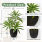 Dracaena Artificial Houseplant