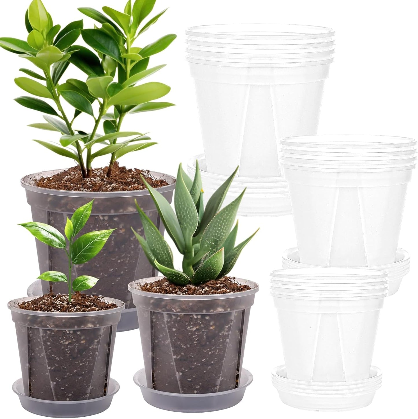 Clear Nursery Pots 12 Pack 4/5/6 Inch w/Tray