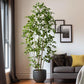 Artificial Ficus Tree & Planter