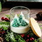 Cactus Terrarium Plant Candle