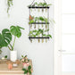 Wall Hanging Plant Propagation Station