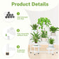 5 Tier Folding Plant Stand